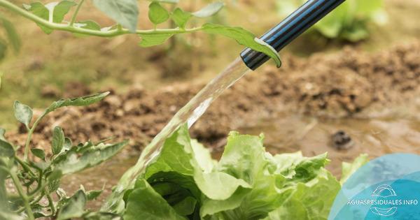 RE2AQUA valida en entornos reales el potencial de la reutilización de agua en el sector agroalimentario