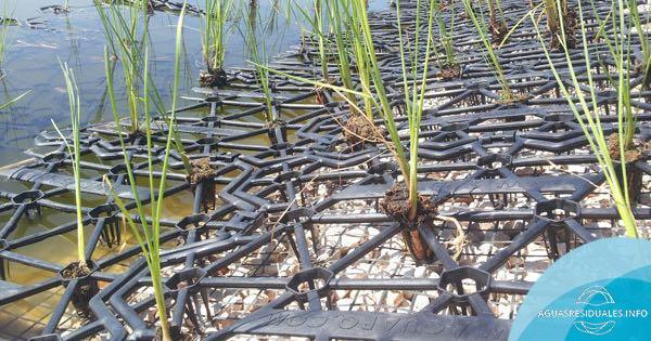 Estructura soporte AQ3M: Tamices de helófitas en flotación