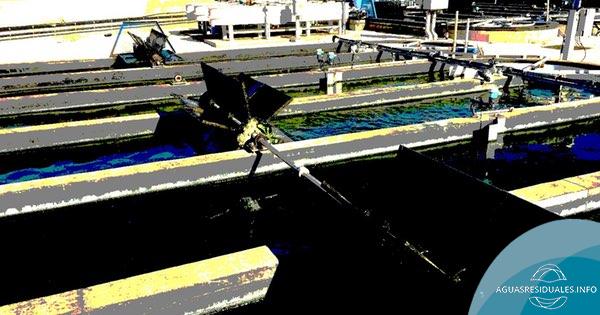 Optimización y escalado de la digestión anaerobia de microalgas y aguas residuales urbanas. Una alternativa a las depuradoras tradicionales
