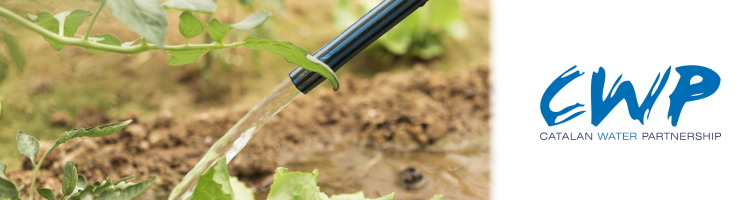 RE2AQUA valida en entornos reales el potencial de la reutilización de agua en el sector agroalimentario