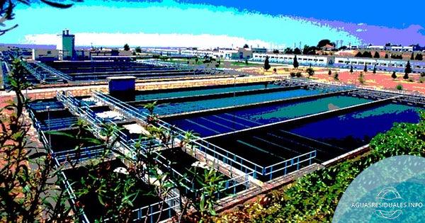 Análisis de la calidad y seguridad del agua de consumo público en Madrid: Evaluación de contaminantes y estrategias para su control