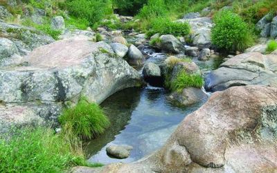 Gestión Medio-ambiental