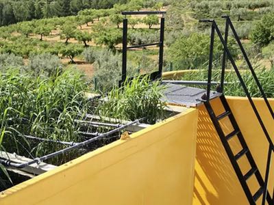Procesos sostenibles basados en la naturaleza